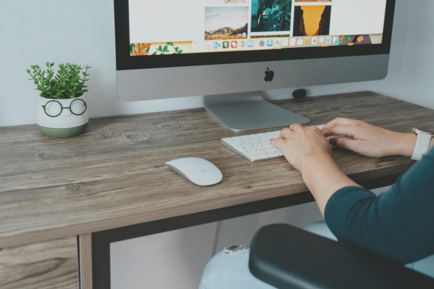 SEO course session showing keyword analysis and backlink tool interface