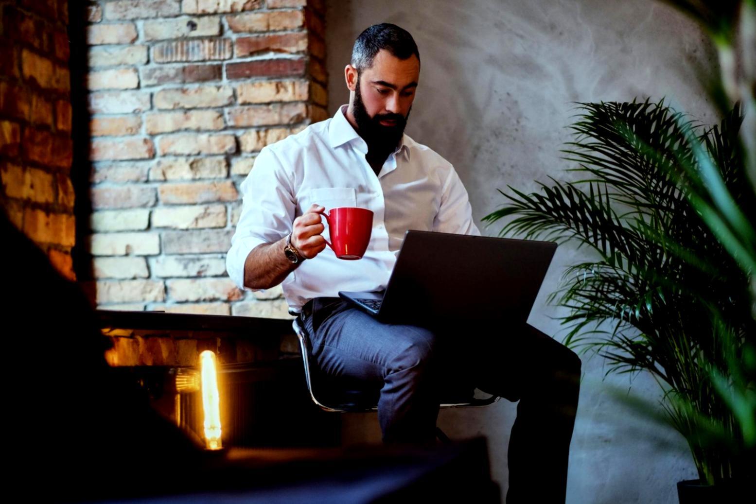 Live SEO software training session